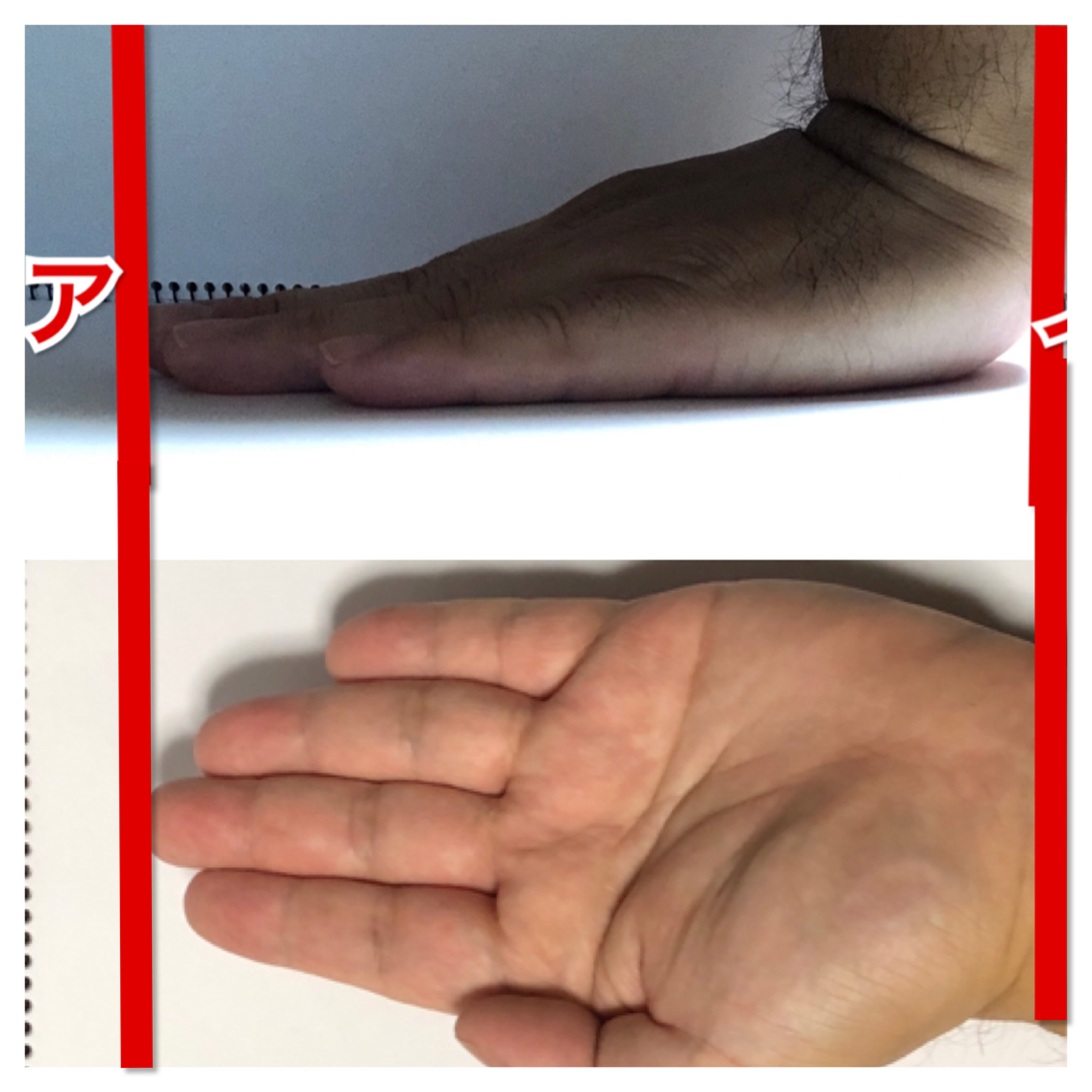 手の大きさの平均って 男女で違いはあるの 手が大きいと有利 トリビアとノウハウノート