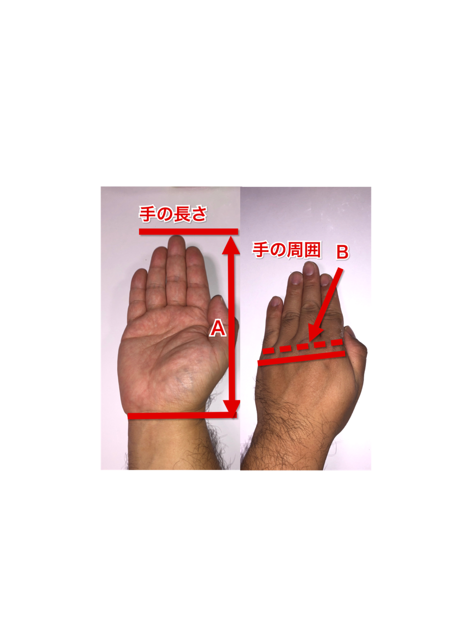 手の大きさの平均って 男女で違いはあるの 手が大きいと有利 トリビアとノウハウノート
